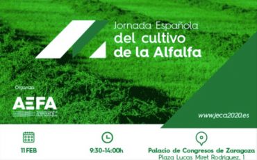 第一届西班牙苜蓿种植日（JECA）