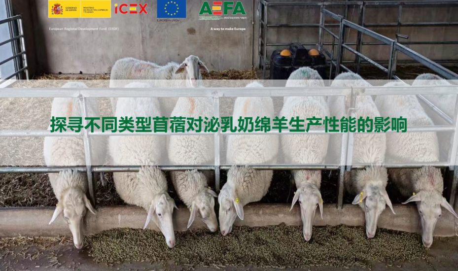 不同类型苜蓿对奶绵羊生产性能的影响