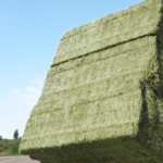 西班牙出口商更新中国注册信息