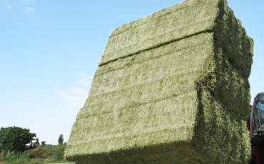 西班牙出口商更新中国注册信息