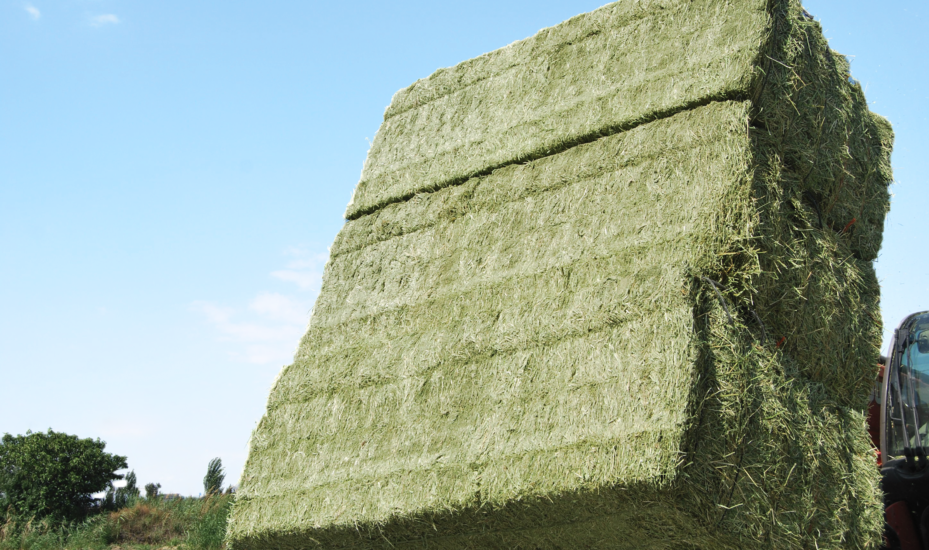 西班牙出口商更新中国注册信息