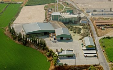 西班牙非洲猪瘟近况：牧草出口保持正常