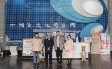 共拓脱水牧草在兔业领域更多可能