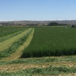 第十一届中国苜蓿燕麦草市场研讨会日程