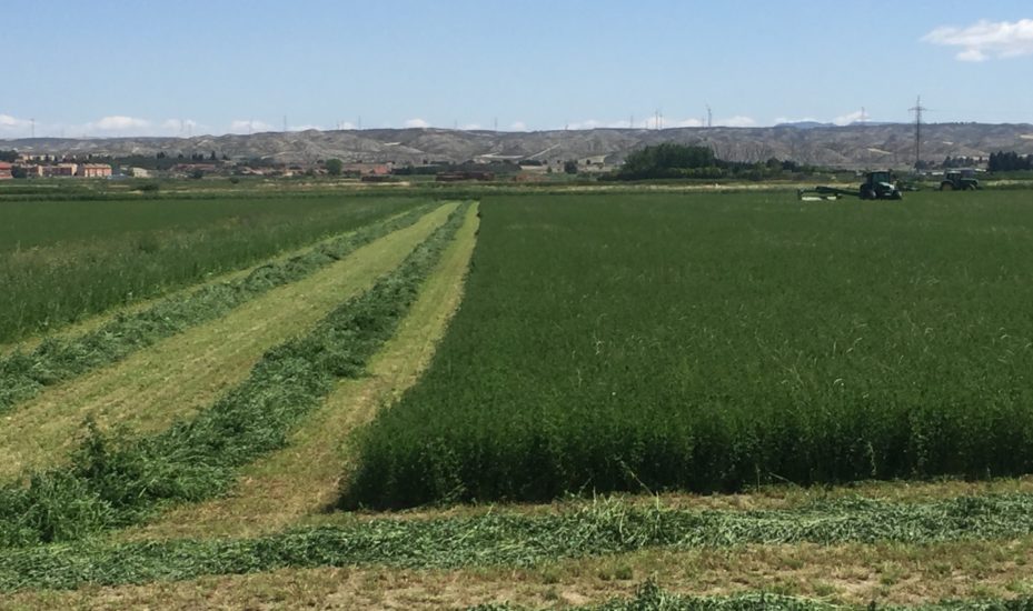 第十一届中国苜蓿燕麦草市场研讨会日程
