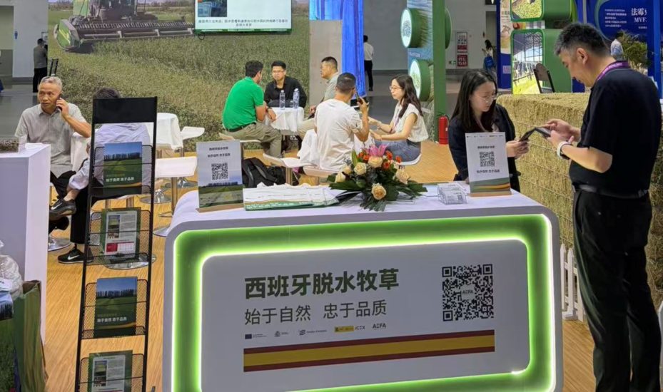 西班牙脱水牧草满足不同养殖需求