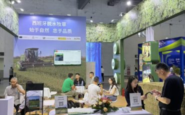 西班牙脱水牧草满足不同养殖需求