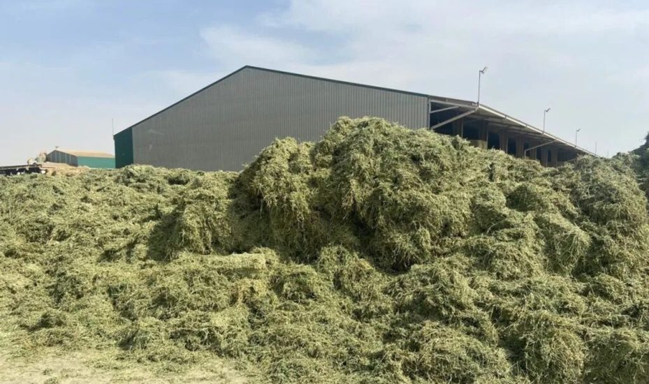 西班牙脱水牧草2026/27产季产量预测